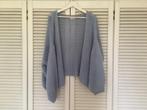 Mooi lichtblauw grof gebreid oversized vest van Nayyar, Blauw, Maat 42/44 (L), Ophalen of Verzenden, Nayyar