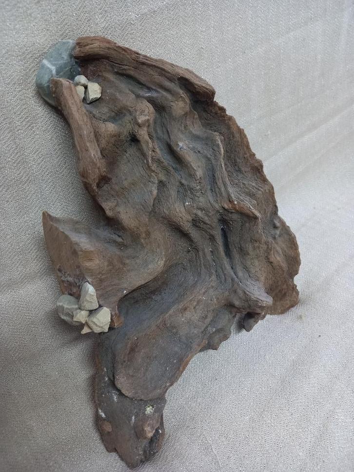 Aquarium Fonteinen en waterpartijen, Dieren en Toebehoren, Vissen | Aquaria en Toebehoren, Leeg aquarium, Ophalen