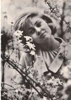 Oude Kaart Gitte Hæning, Verzenden, 1960 tot 1980, Ongelopen, Sterren en Beroemdheden