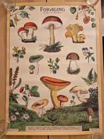 Artis poster foraging (paddestoelen), ongeveer 5070 cm, Ophalen of Verzenden, A1 t/m A3, Dier of Natuur, Rechthoekig Staand