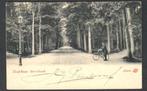 Oude Ansicht - Assen - Hoofdlaan Sterrebosch - 1910 - Dr, Ophalen of Verzenden, Voor 1920, Gelopen, Drenthe