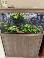 Aqarium aqua lantis, Dieren en Toebehoren, Vissen | Aquaria en Toebehoren, Ophalen, Gebruikt, Leeg aquarium
