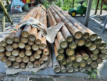 2 Rollen Giant Bamboe - 1 Nieuw, 1 Gebruikt beschikbaar voor biedingen