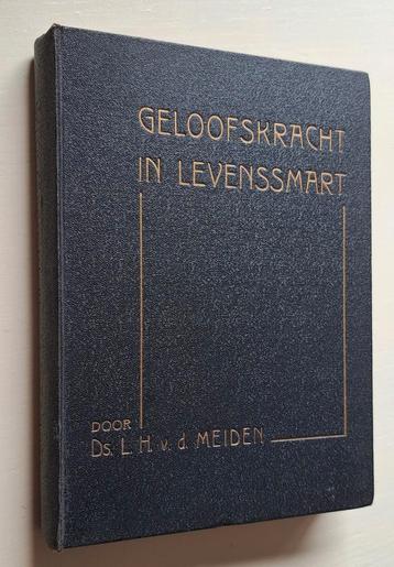 Geloofskracht in Levenssmart - Ds. L.H. v.d. Meiden beschikbaar voor biedingen