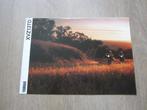 Yamaha XVZ13TD Venture Royale brochure folder 1990, Ophalen of Verzenden, Yamaha