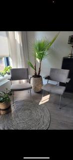 2 Vintage Gispen Cordemeyer stoelen 1965, nieuw bekleed, Antiek en Kunst, Ophalen