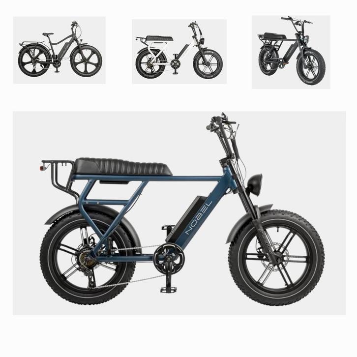 Op zoek naar een leuke E-Bike / Fat-Bike /elektrische fiets?, Fietsen en Brommers, Elektrische fietsen, Nieuw, Overige merken