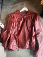 Claudia Strater Leren Jas Bordeaux rood Maat 44, Kleding | Dames, Maat 46/48 (XL) of groter, Ophalen of Verzenden, Zo goed als nieuw