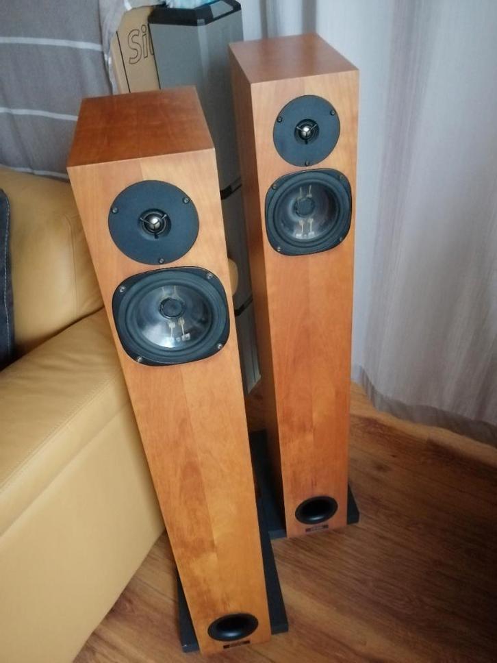 Audio Physic Spark luidsprekers model 1 woofer defect, Audio, Tv en Foto, Luidsprekers, Gebruikt, Front, Rear of Stereo speakers