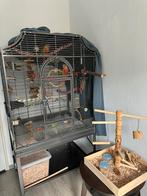 Montana Madeira 3 Grote vogelkooi, Ophalen, Zo goed als nieuw, Metaal, Vogelkooi
