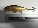 Kunstaas: Salmo Perch 12 SR Floating Pluggen, Watersport en Boten, Hengelsport | Roofvissen, Verzenden, Gebruikt, Overige typen