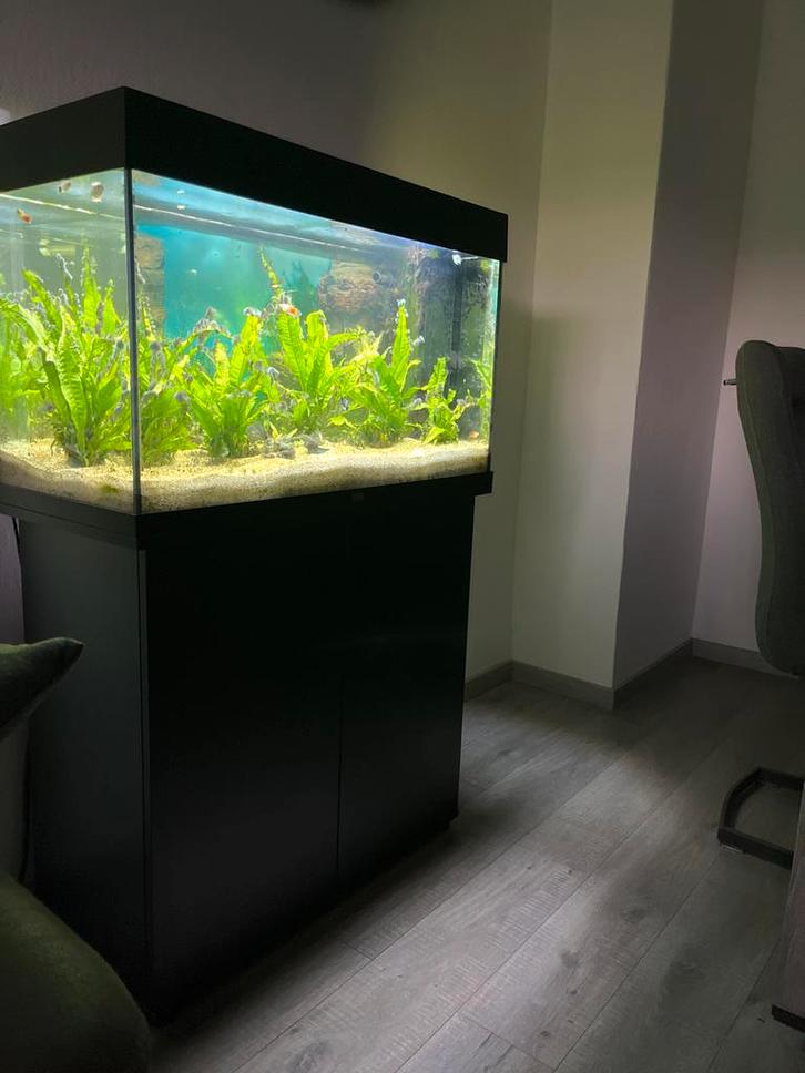 Juwel rio 125 led met onderkast, Dieren en Toebehoren, Vissen | Aquaria en Toebehoren, Zo goed als nieuw, Gevuld zoetwateraquarium