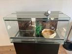 Terrarium inclusief onderkast, Dieren en Toebehoren, Reptielen en Amfibieën | Toebehoren, Ophalen, Zo goed als nieuw