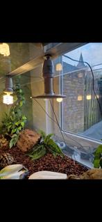Terrarium 105x50x60 incl. Attributen, Dieren en Toebehoren, Reptielen en Amfibieën | Toebehoren, Ophalen, Zo goed als nieuw, Terrarium of Paludarium