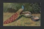 Weesperkarspel P. Sluis Zaadhandel Veevoeder, Pauwen., Verzamelen, Ophalen of Verzenden, Voor 1920, Ongelopen, Vogel