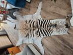 Mooi echt zebra vacht, Ophalen of Verzenden, Zo goed als nieuw, Wild dier, Overige typen