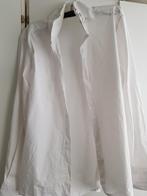 Zara witte overhemd maat: L, Kleding | Heren, Overhemden, Zara Man, Ophalen of Verzenden, Wit, Zo goed als nieuw
