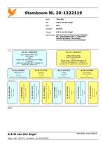 Koppel overnacht postduiven doffer/ duivin, Meerdere dieren, Postduif