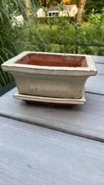 Bonsai bakje inclusief onderschotel, beige glazuur., Tuin en Terras, Ophalen of Verzenden, Gebruikt, Rechthoekig