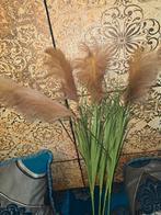 5 lange Boho pluimen - Pampasgras, Huis en Inrichting, Ophalen of Verzenden