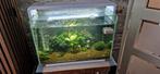 Superfish home 60 compleet, Ophalen, Leeg aquarium
