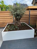 Bloembak cortenstaal/staal, Ophalen of Verzenden, Zo goed als nieuw, Metaal, Tuin