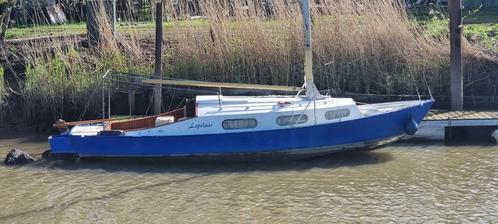 Biesbosch kruiser zeilboot, Watersport en Boten, Platbodems, Gebruikt, 6 tot 9 meter, Staal, Ophalen