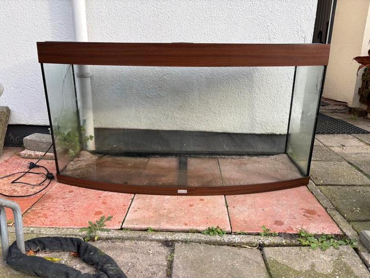 Juwel vision 260, Dieren en Toebehoren, Vissen | Aquaria en Toebehoren, Zo goed als nieuw, Leeg aquarium, Ophalen