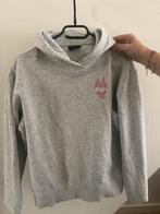 Amy&Ivy Sweater - De Sting, Ophalen of Verzenden, Zo goed als nieuw, Maat 34 (XS) of kleiner, Grijs