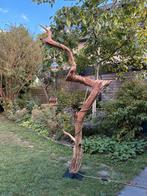 Thomas Wood vloerlamp, maat XL, boomstam / led, Ophalen, 200 cm of meer, Zo goed als nieuw, Hout