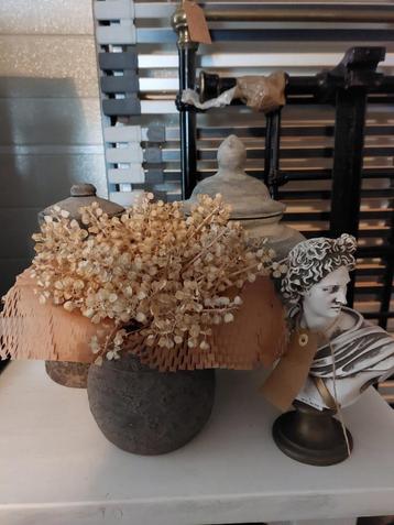 Aura Peeperkorn Hoffz Landelijk Wonen beschikbaar voor biedingen