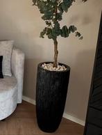 Luxe zwarte hoge vaas 70cm / dubbelman design, Ophalen, Zo goed als nieuw, Zwart, Overige materialen