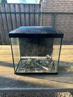 Superfish 30L aquarium, Ophalen of Verzenden, Zo goed als nieuw, Leeg aquarium