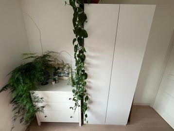 Ikea Pax forsand kast - afbeelding 2