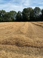 Stro Kleine Pakken - Ideaal voor Dieren!, Dieren en Toebehoren, Ophalen of Verzenden, Vee