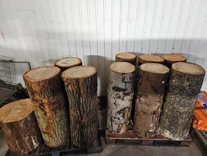 Spijkerblok, spijkerslaan, hakblok eiken, boomstam Aambeeld, Doe-het-zelf en Verbouw, Hout en Planken, Plank, Eiken, Minder dan 200 cm