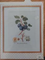 Borduurpakket The Mirabelle Plum, Ophalen of Verzenden, Nieuw, Handborduren, Borduurpakket