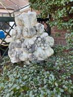Diverse tuinbeelden, Tuin en Terras, Tuinbeelden, Ophalen, Gebruikt, Beton, Overige typen