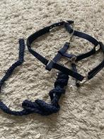 Halster voor paard/pony, Focus by Eskadron, Ophalen of Verzenden, Gebruikt, Dressuur