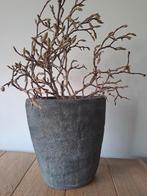 Prachtige ovale bloempot met magnolia takken, Ophalen, Zo goed als nieuw, Overige vormen, Aardewerk
