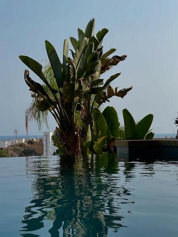 Luxe appartement in Villajoyosa, Costa Blanca. NL eigenaar. beschikbaar voor biedingen