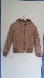 Een beige korte winter-jas/jack met een tijger capuchon., Kleding | Dames, Beige, Maat 36 (S), Gedragen, Easy comfort.