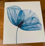 Rituals Hammam Cadeauset - Nieuw!, Huis en Inrichting, Badkamer | Badtextiel en Accessoires, Ophalen of Verzenden, Nieuw