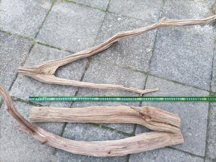 Terrarium/Aquarium Hout - 3 Stukken, Dieren en Toebehoren, Reptielen en Amfibieën, Overige soorten