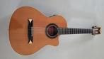 Alhambra CS-3 CW E2 Nylon Cross-Over gitaar / Fishman pickup, Ophalen, Zo goed als nieuw, Klassieke of Spaanse gitaar, Met (piezo-)element
