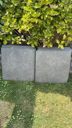 Terrastegels 60x60 14 stuks en wat halve stukken, Tuin en Terras, Nieuw, Beton, Terrastegels, 5 tot 10 m²