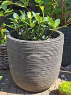 Capi rib zwart UV bestendig plantenbak skimmia vaste plant, Ophalen, Kunststof, Minder dan 60 cm, Rond
