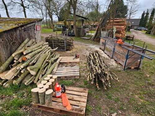 Blokken essenhout, Tuin en Terras, Haardhout, Blokken, Ophalen of Verzenden