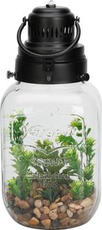 Fles met kunstplant en verlichting, Ophalen of Verzenden, Nieuw