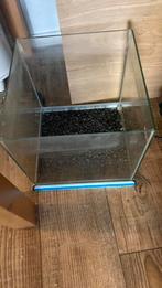 Vissen kom, Dieren en Toebehoren, Vissen | Aquaria en Toebehoren, Ophalen